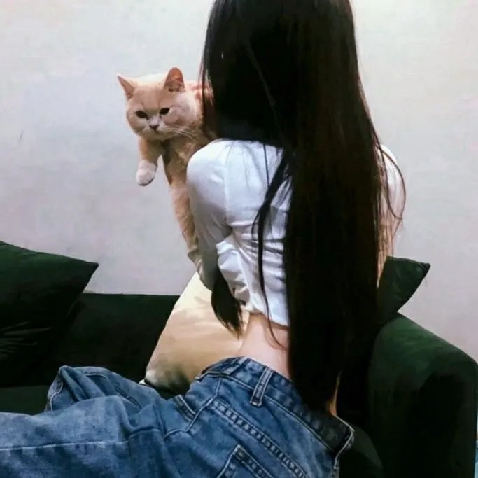 恋爱吧，寨主